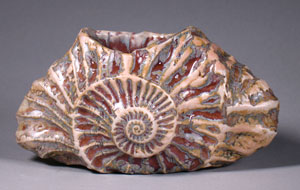 Fossil Vase